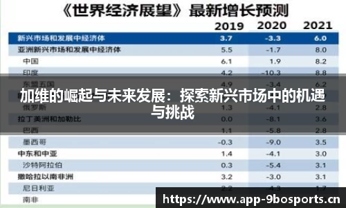 加维的崛起与未来发展：探索新兴市场中的机遇与挑战